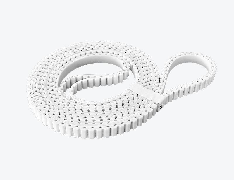 Toothed Belt